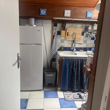 Studio Des Perce Neige Barcelonnette Kültér fotó
